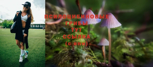 каннабис Дубовка