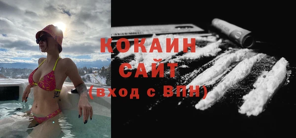 гашик Белокуриха