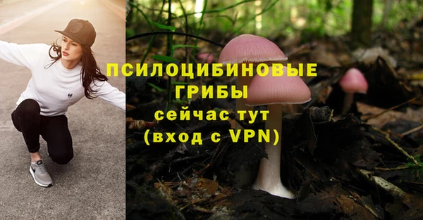 MDMA Premium VHQ Новодвинск