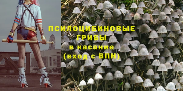 круглые Осташков