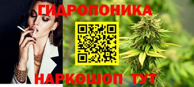 гидропоника Азнакаево