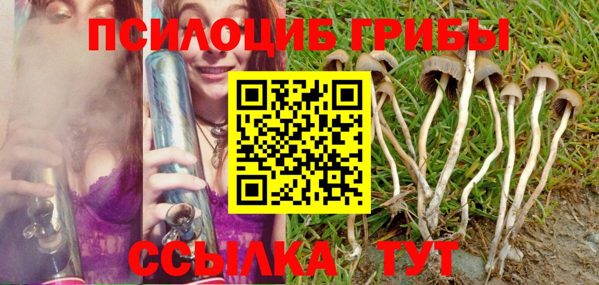 Псилоцибиновые грибы Cubensis  Зеленодольск 