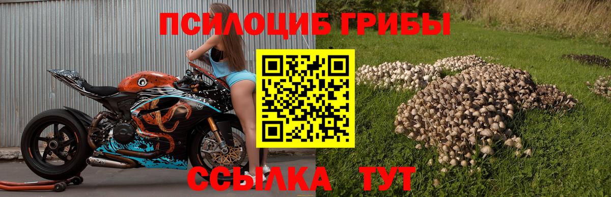 Галлюциногенные грибы прущие грибы Зеленодольск