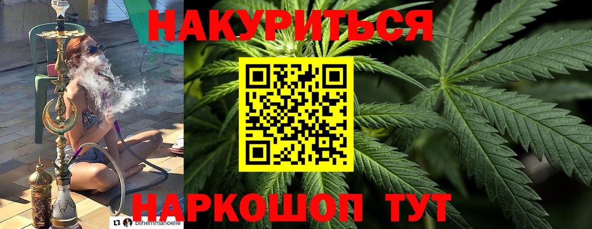 Марихуана гибрид  Конопля MAZAR  Зеленодольск  Бошки марихуана семена 